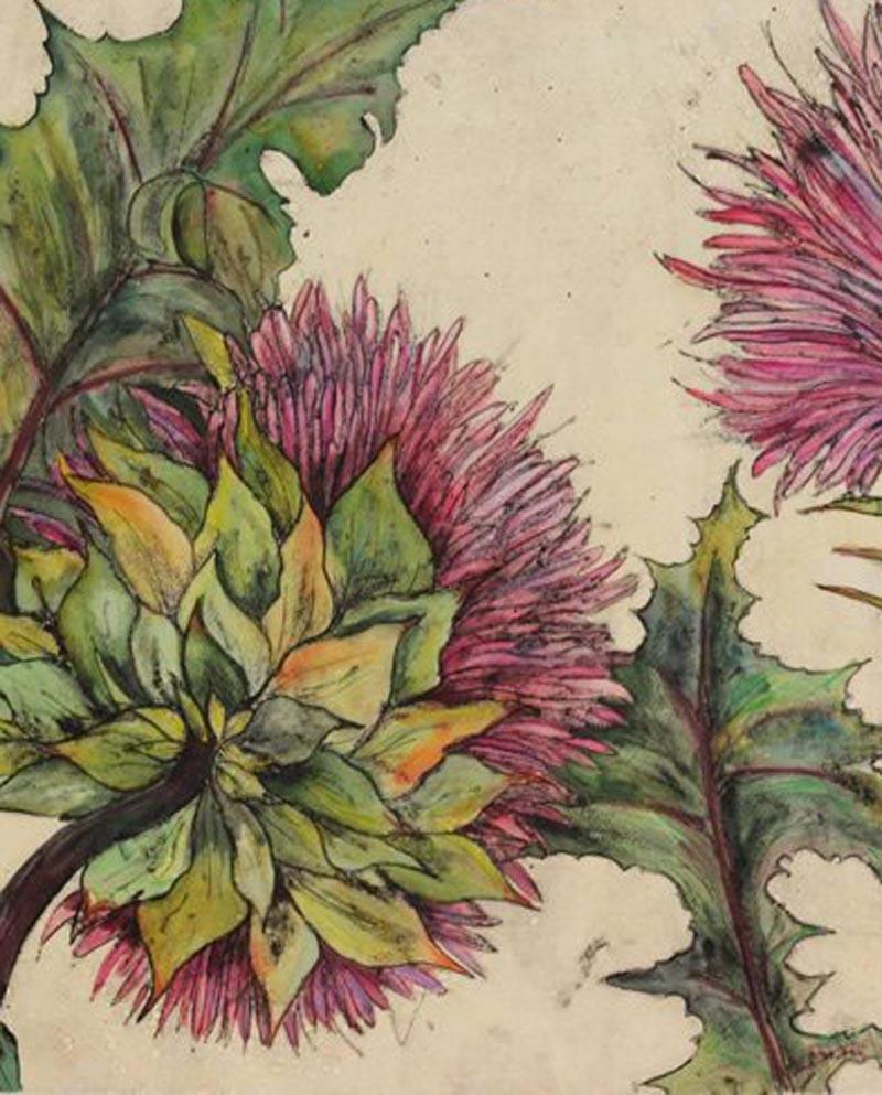 Cardoon, still life, nature, flower, limited edition print - Print by Vicky Oldfield