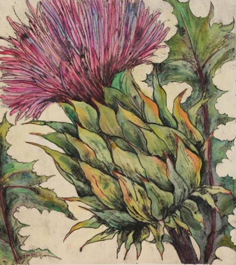 Cardoon, still life, nature, flower, limited edition print - Contemporary Print by Vicky Oldfield