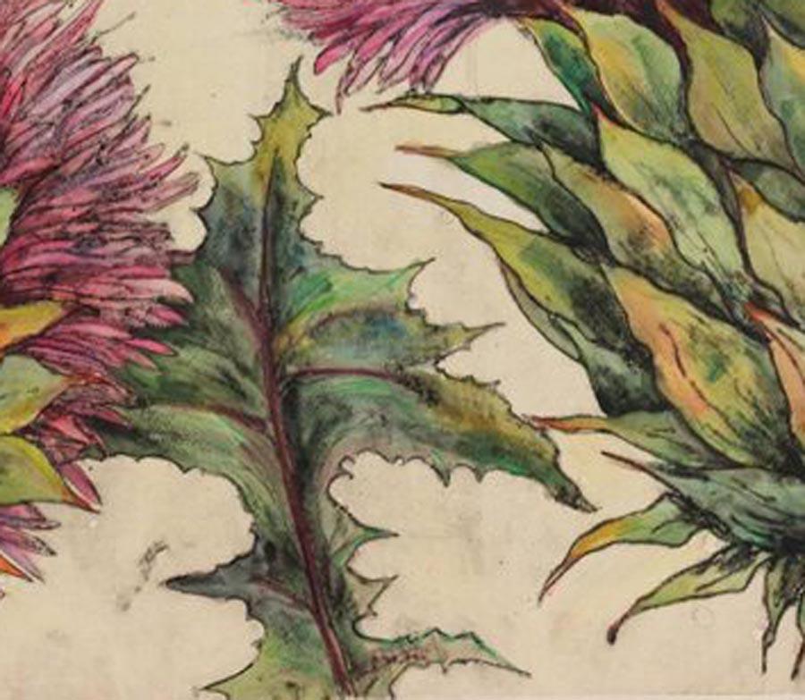 Cardoon, still life, nature, flower, limited edition print - Brown Landscape Print by Vicky Oldfield