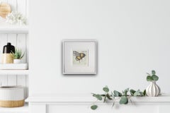 Vicky Oldfield, Buzzing Around, Animal Art, Contemporary Collograph Print