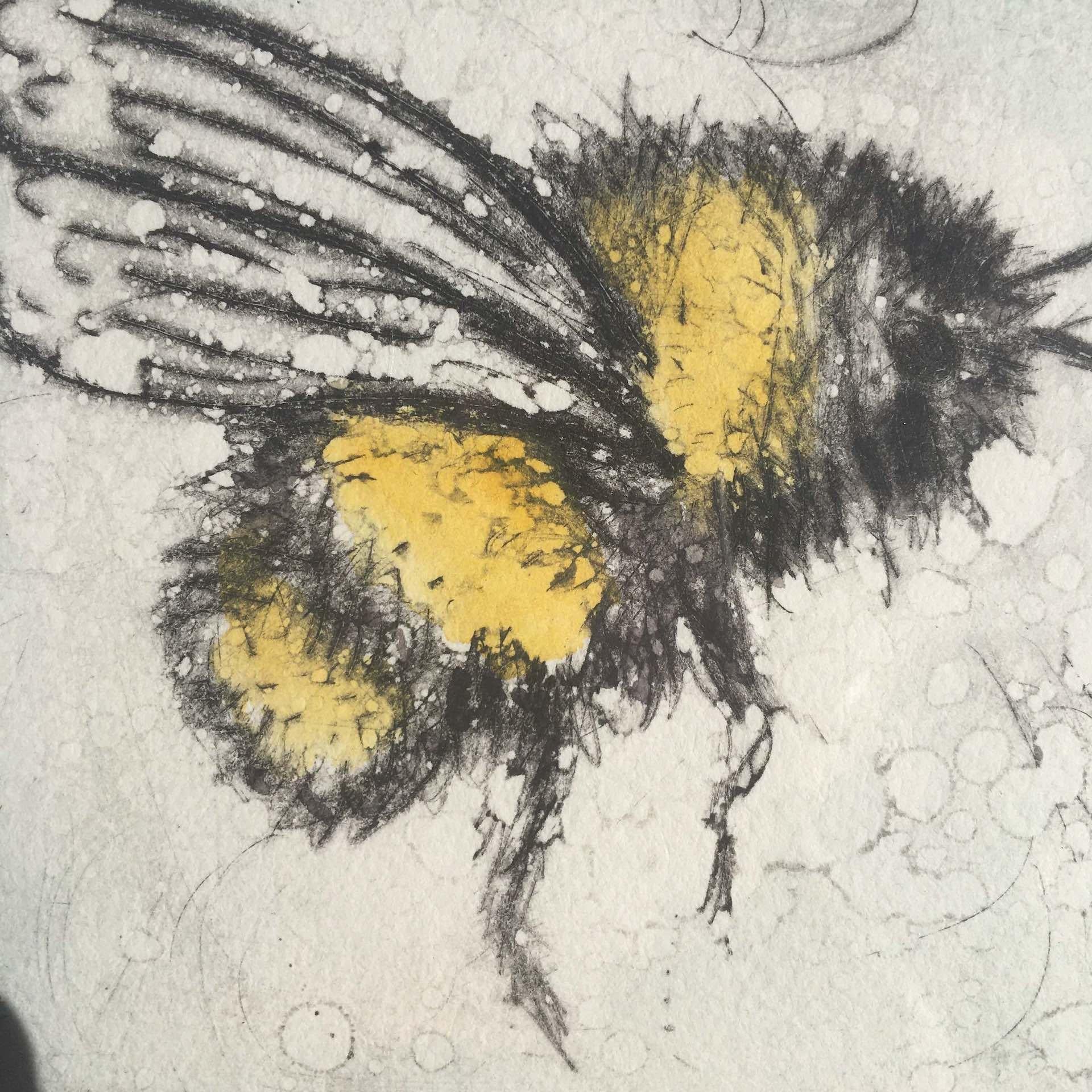 Vicky Oldfield
Buzzing Around
Limited Edition Collagraph Print
Edition of 30
Image Size: H 9.5cm x W 9.5cm
Sheet Size: H 23cm x W 23cm x D 0.1cm
Sold Unframed
Please note that insitu images are purely an indication of how a piece may look

Buzzing