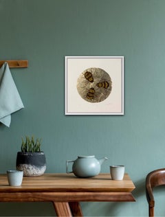 Vicky Oldfield, Ape d'oro, Arte accessibile, Arte animale, Arte contemporanea