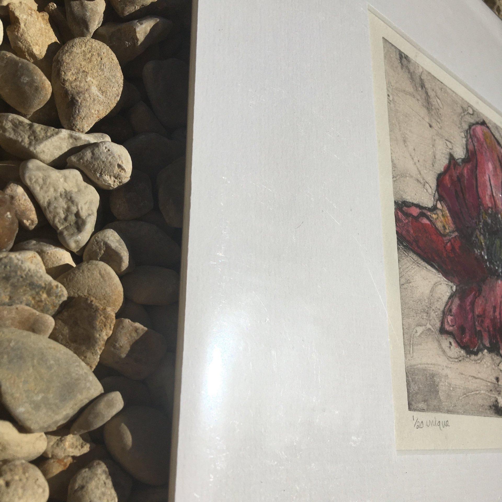Vicky Oldfield, Sundance, Stampa luminosa di natura morta contemporanea, Arte accessibile in vendita 3