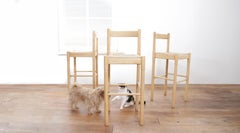 Sgabelli in legno di frassino e giunco di Vico Magistretti - Design vintage anni '60