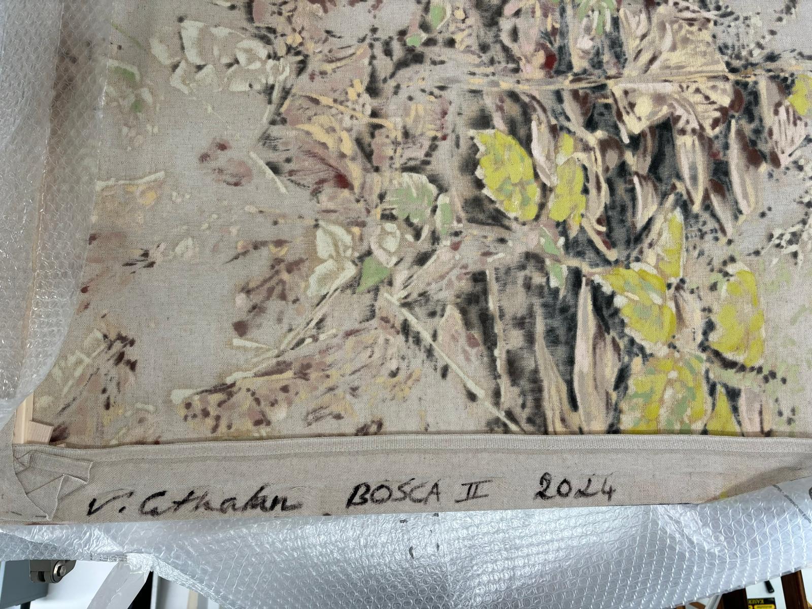 Bosca II en venta 3