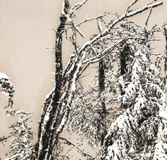 Picture The Silence II