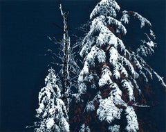 Picture The Silence III