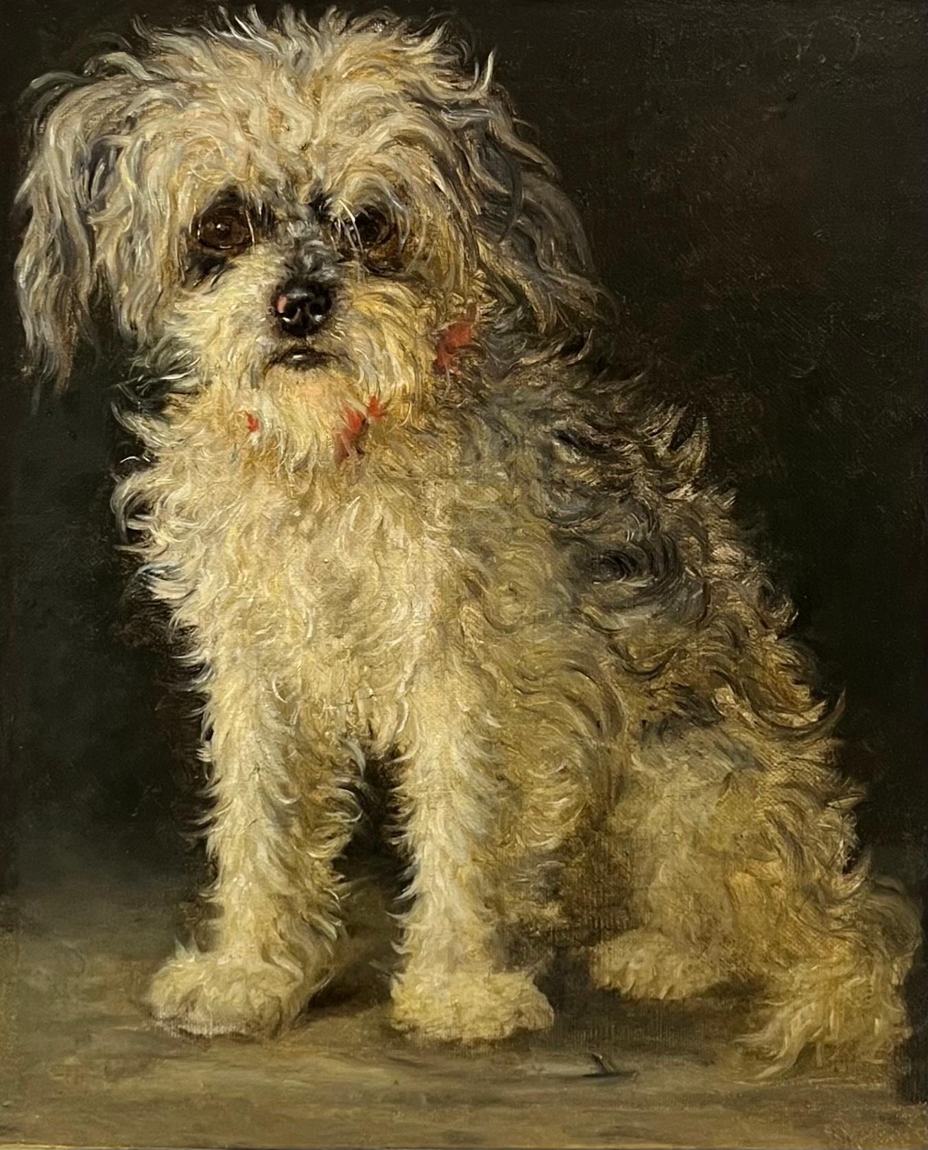 A seated poodle - Painting by Victor Henri Juglar