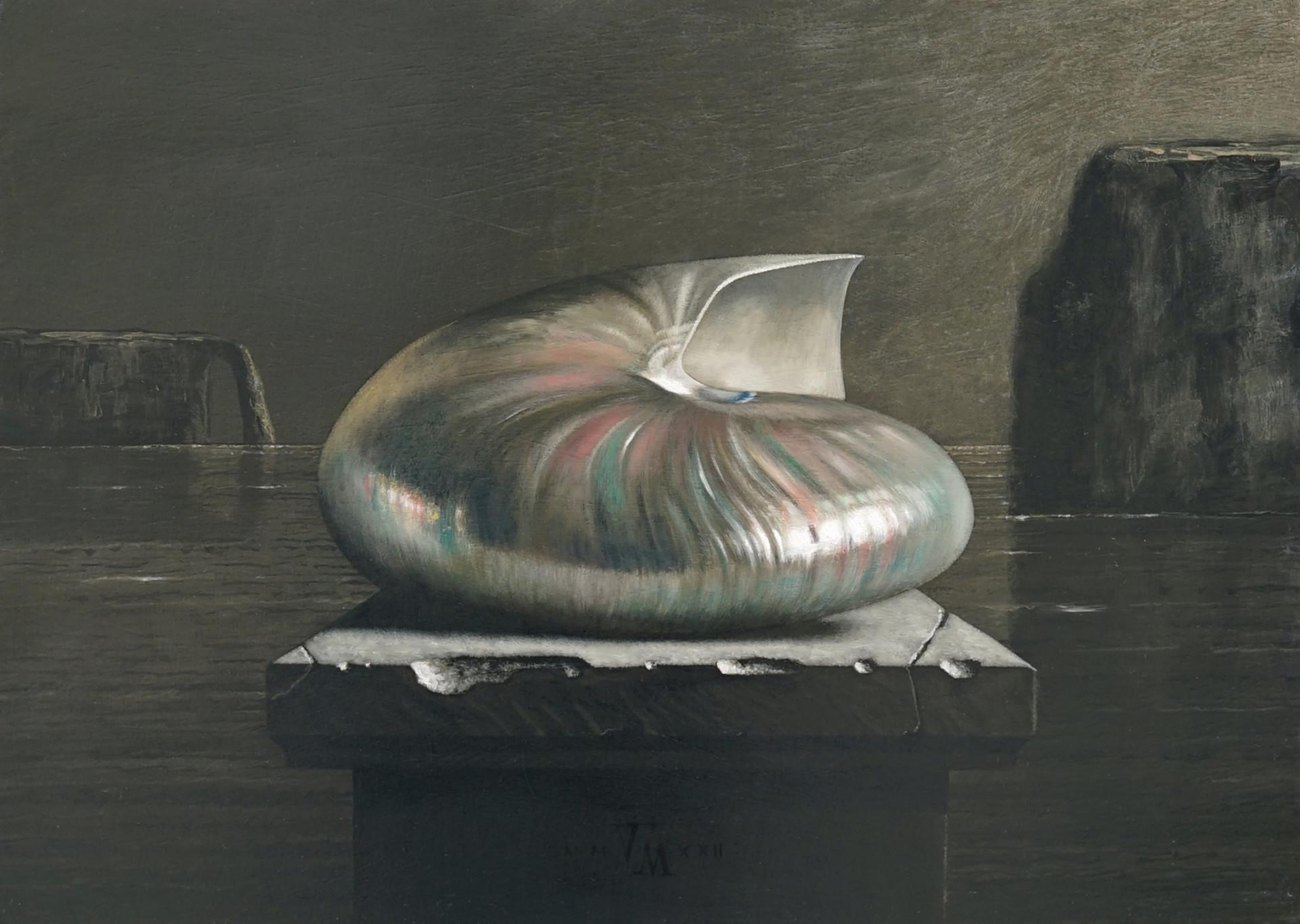 Nautilus 2 Ölgemälde auf Platte Stillleben Muschel gerahmt Auf Lager – Painting von Victor Muller