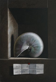 Opus Oil Painting on Panel Shell Still Life In Stock