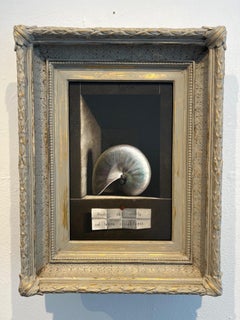 Opus Oil Painting on Panel Shell Still Life In Stock 