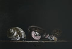 Schelpen Shells Oil Painting on Linen Canvas Still Life In Stock 