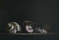 Schelpen Muscheln Ölgemälde auf Leinen Leinwand Stillleben Auf Lager