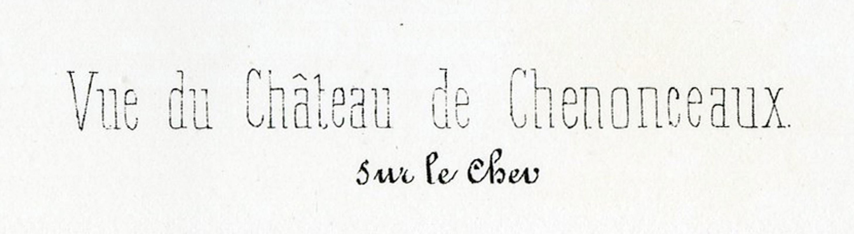 Vue du châteaux de Chenonceaux For Sale 3