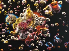 Space Field, Digital Iris Print Muse X Large Photograph on Heavy Paper