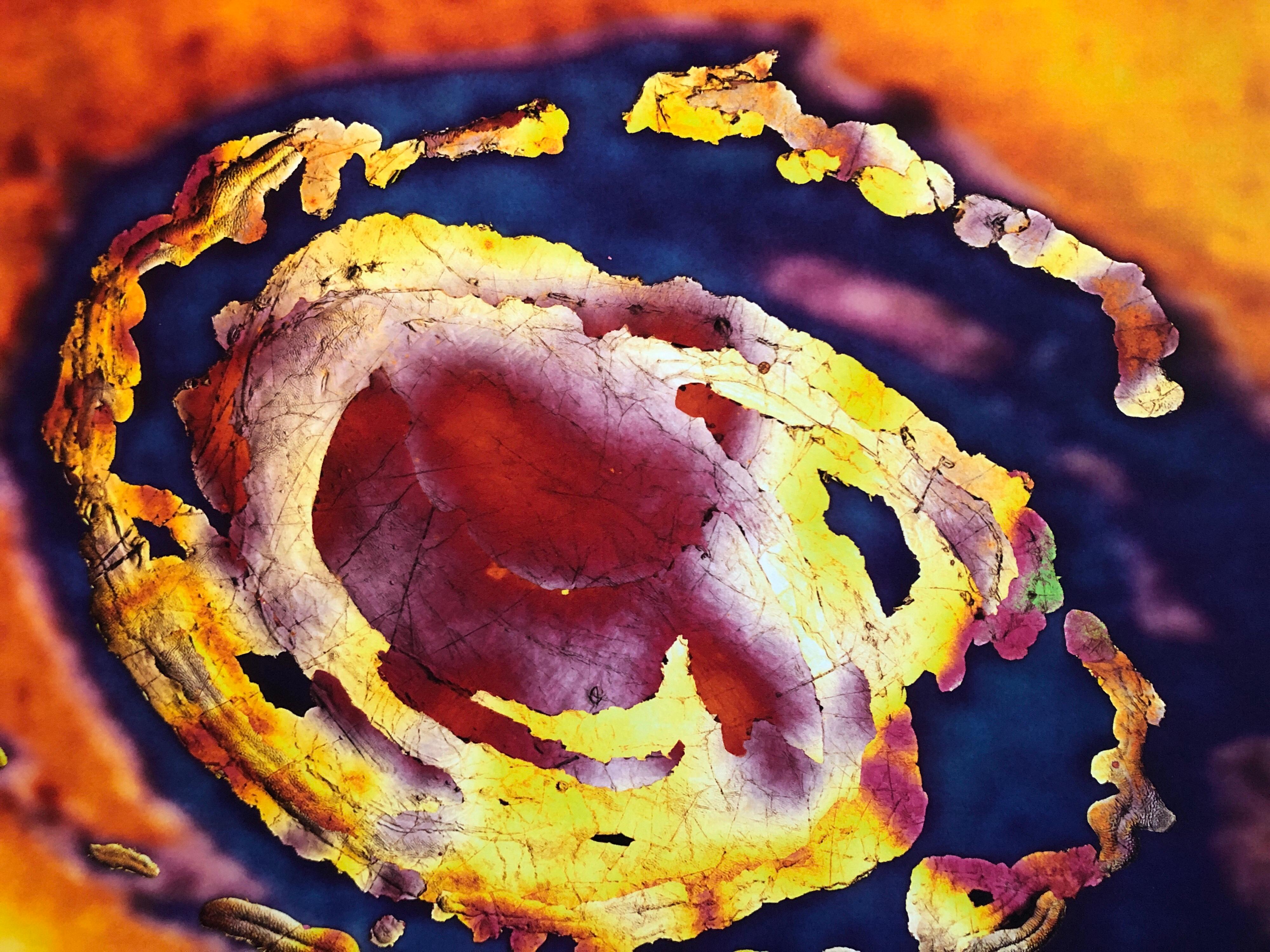 A Space Field, Stampa digitale a Iris Muse X Fotografia di grandi dimensioni su carta pesante - Photograph di Victor Raphael
