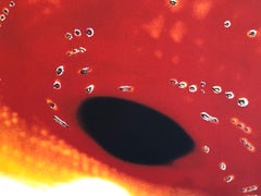 A Space Field, Stampa digitale a Iris Muse X Fotografia di grandi dimensioni su carta pesante