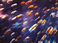 A Space Field, Stampa digitale a Iris Muse X Fotografia di grandi dimensioni su carta pesante