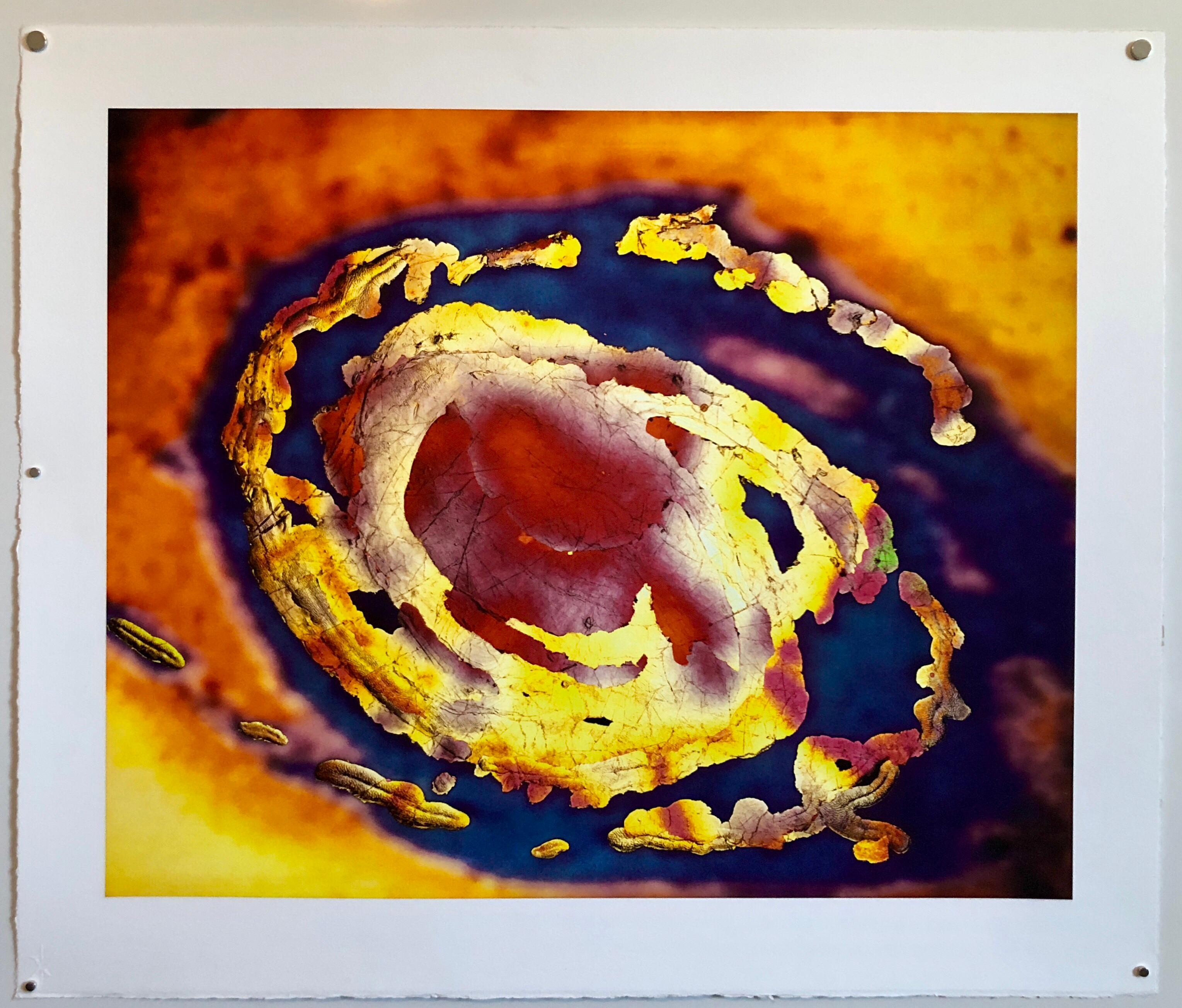 Space Field, Digital Iris Print Muse X Large Photograph on Heavy Paper For Sale 1