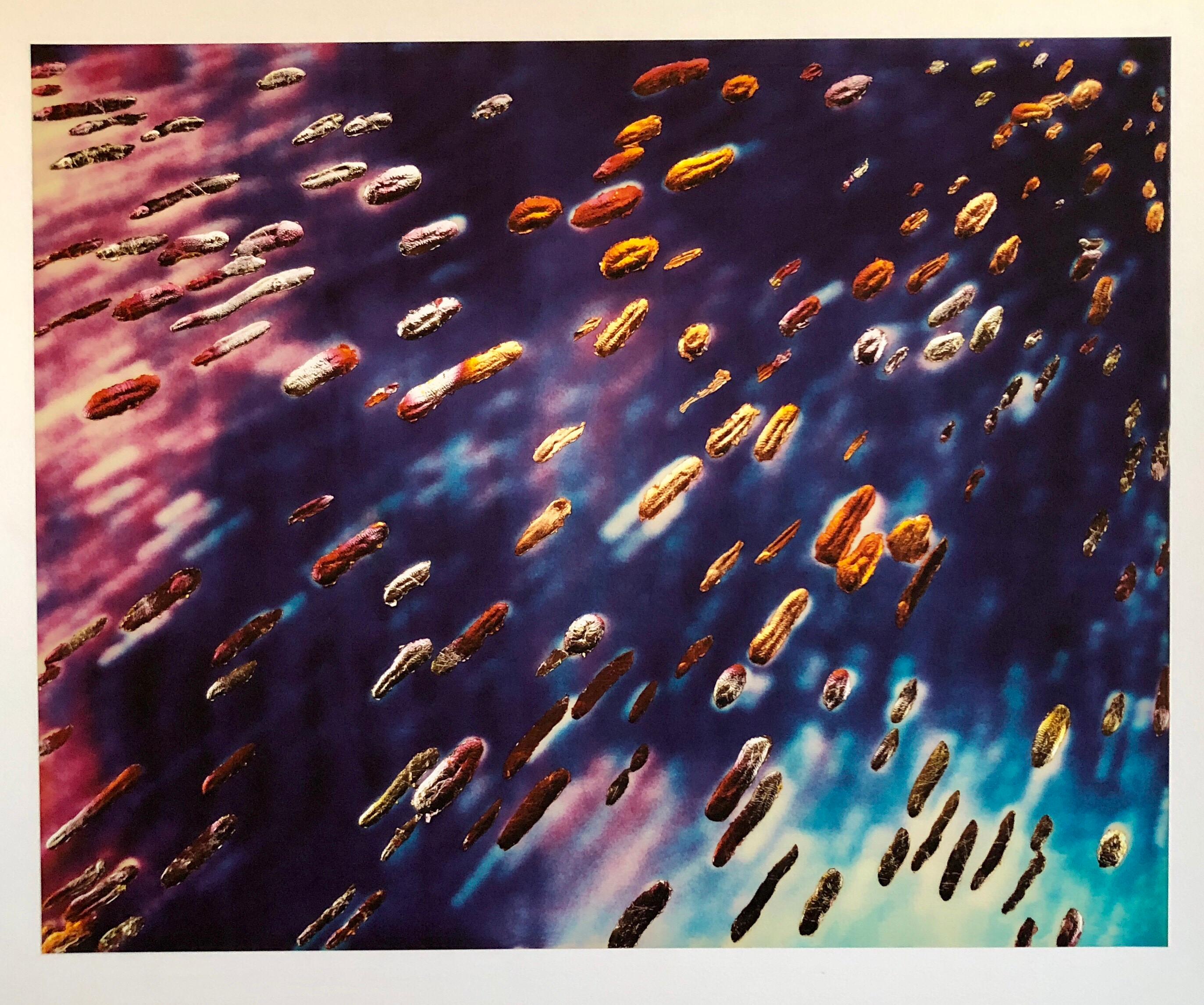 Space Field, Digitaler Irisdruck Muse X Große Fotografie auf schwerem Papier
