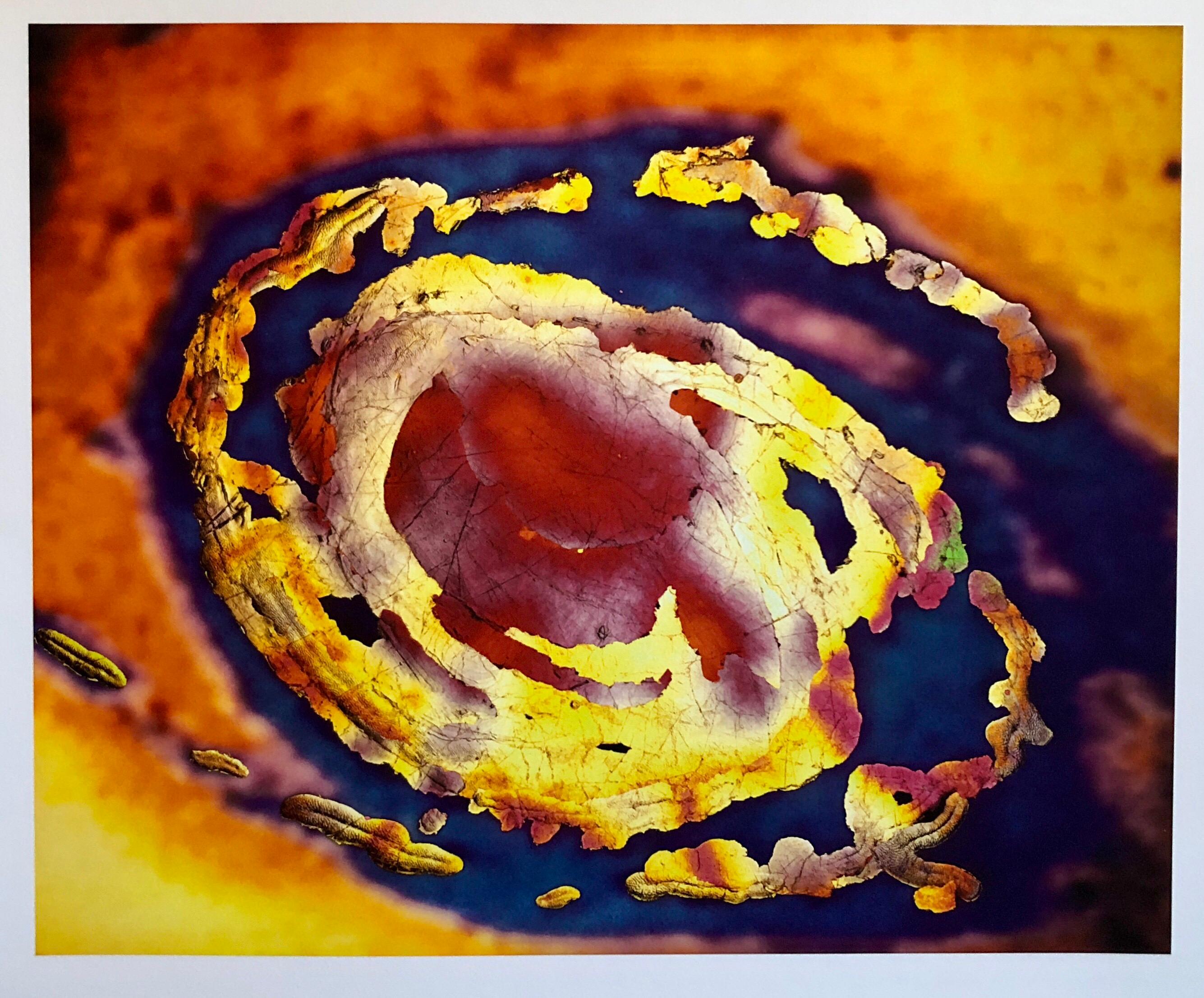 Campo Espacial, Impresión Digital Iris Muse X Fotografía grande sobre papel grueso
