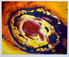 A Space Field, Stampa digitale a Iris Muse X Fotografia di grandi dimensioni su carta pesante