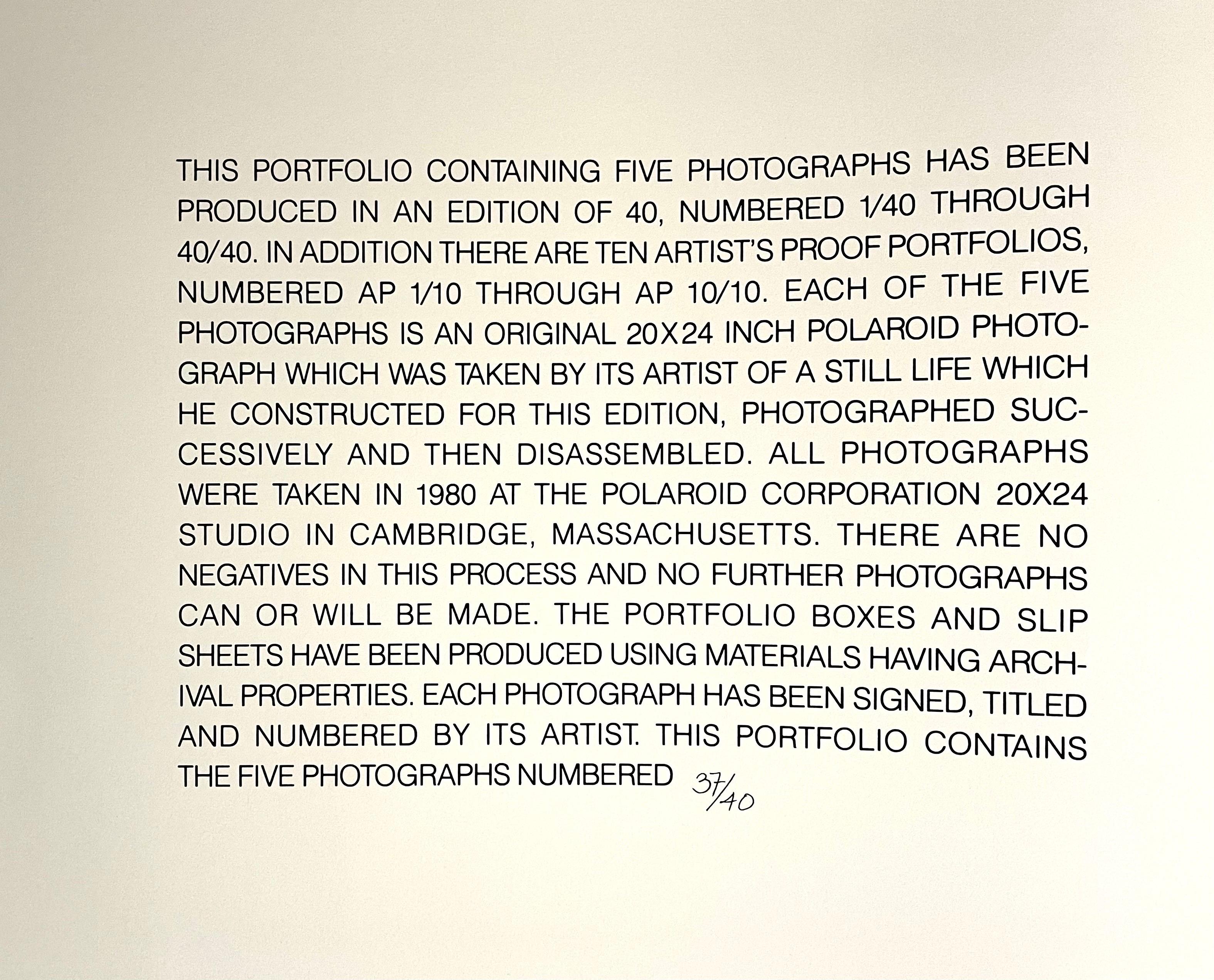 Großformatige Polaroid-Fotografie Stillleben Farb-Fotodruck Betty Hahn Kunst im Angebot 7
