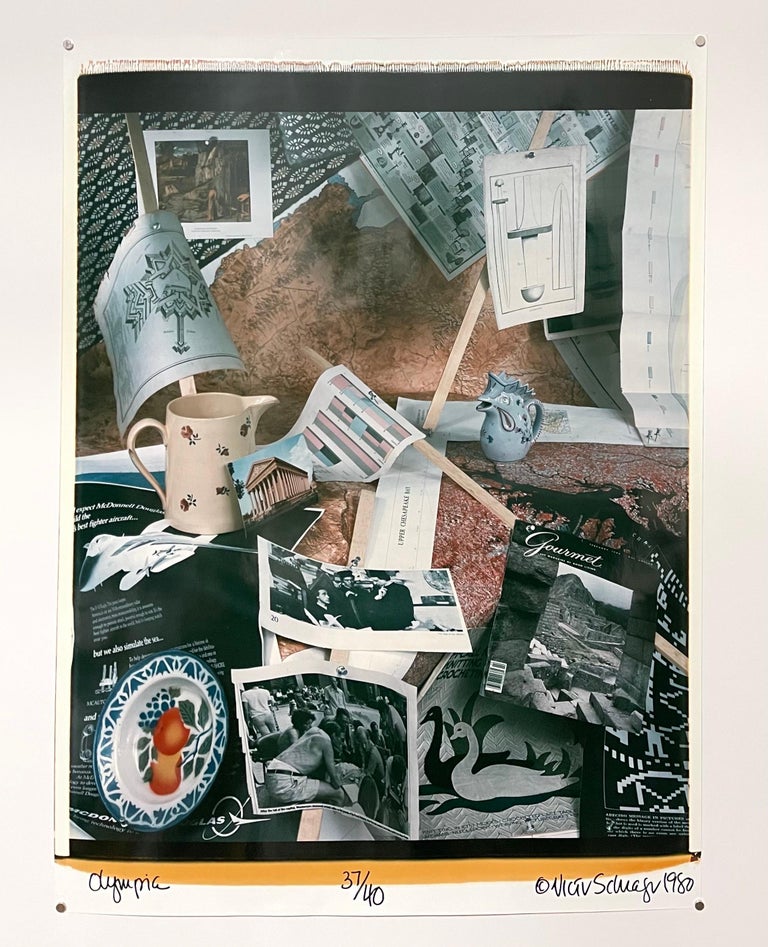 Victor Schrager - Large Format Polaroid Photograph Still Life Color Photo  Dye Print Betty Hahn Art For Sale at 1stDibs | andrea joy hall polaroid,  polaroid format print, victor schrager