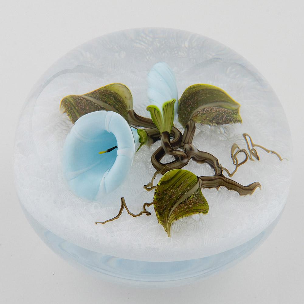 American Victor Trabucco Paperweight Lampwork Convolvulus Flowers 1999 For Sale