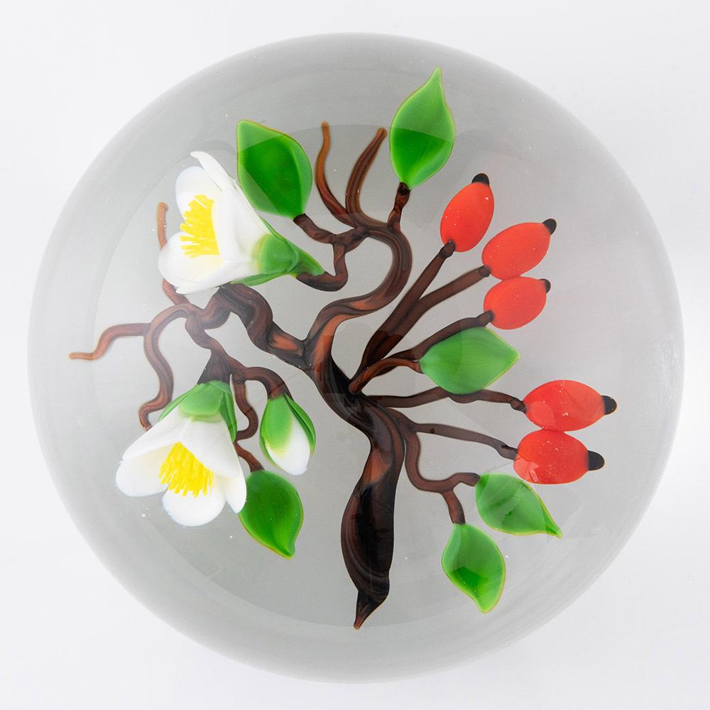 Intitulé : Victor Trabucco Paperweight Lampwork  Rose sauvage
Date : c1988
Origine : USA
Caractéristiques du bol : Deux églantines blanches travaillées au chalumeau, un bourgeon et cinq cynorrhodons, des feuilles et une tige noueuse sur un fond