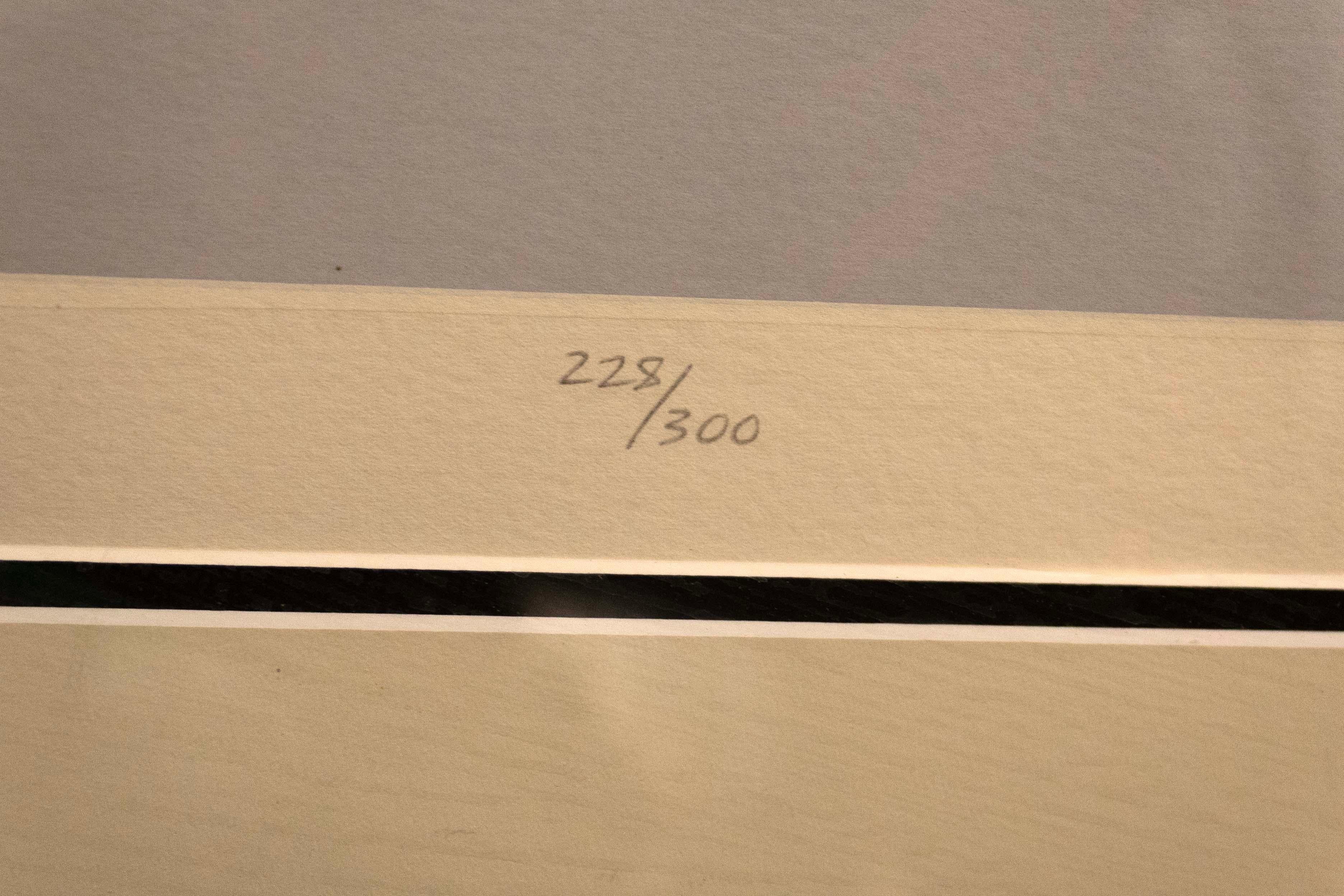 Victor Vasarely Attika Signed Op Art Geometric Modern Serigraph 228/300 Framed 6
