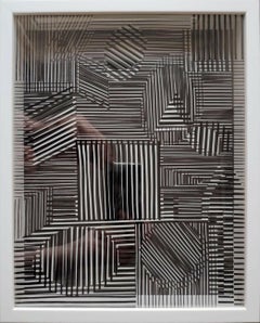 Victor Vasarely Kinetics 5