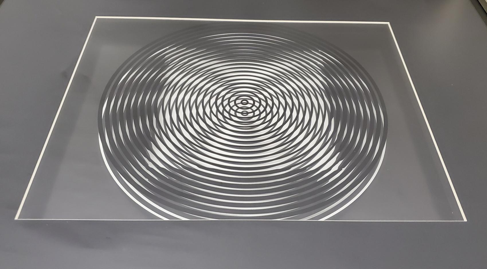 Victor Vasarely Original Optical Illusion Art 1