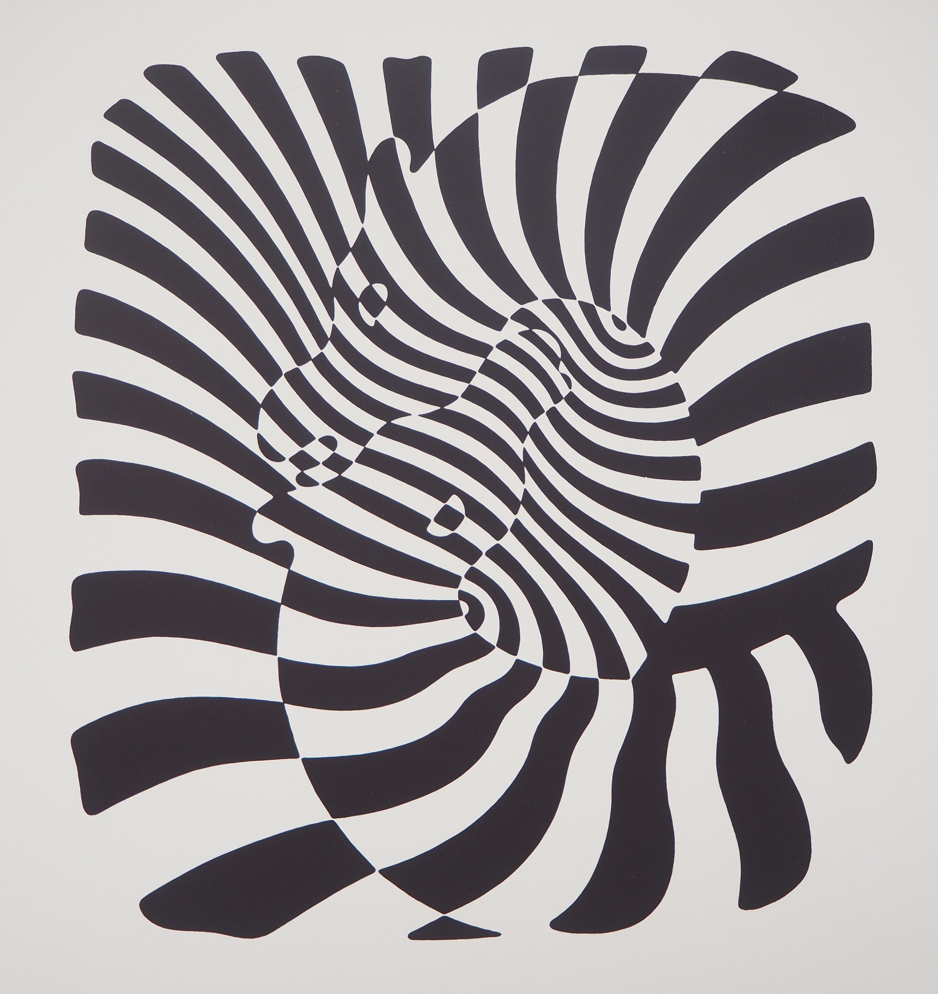 vasarely zebrak
