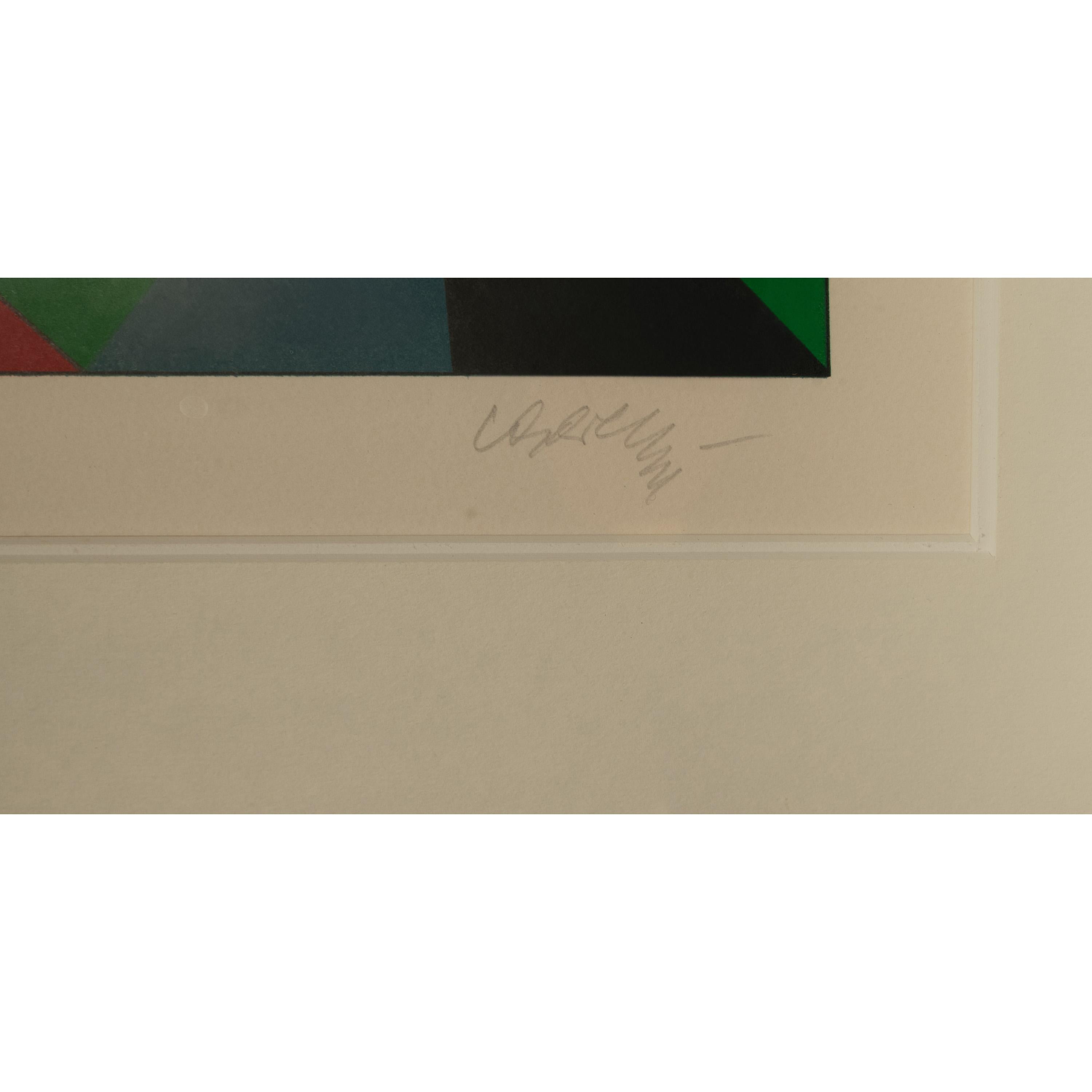 Original abstrakter Op-Art-Raumteilerdruck in abstrakter Farbe „Planetary Folklore“, signiert #2/250 im Angebot 9