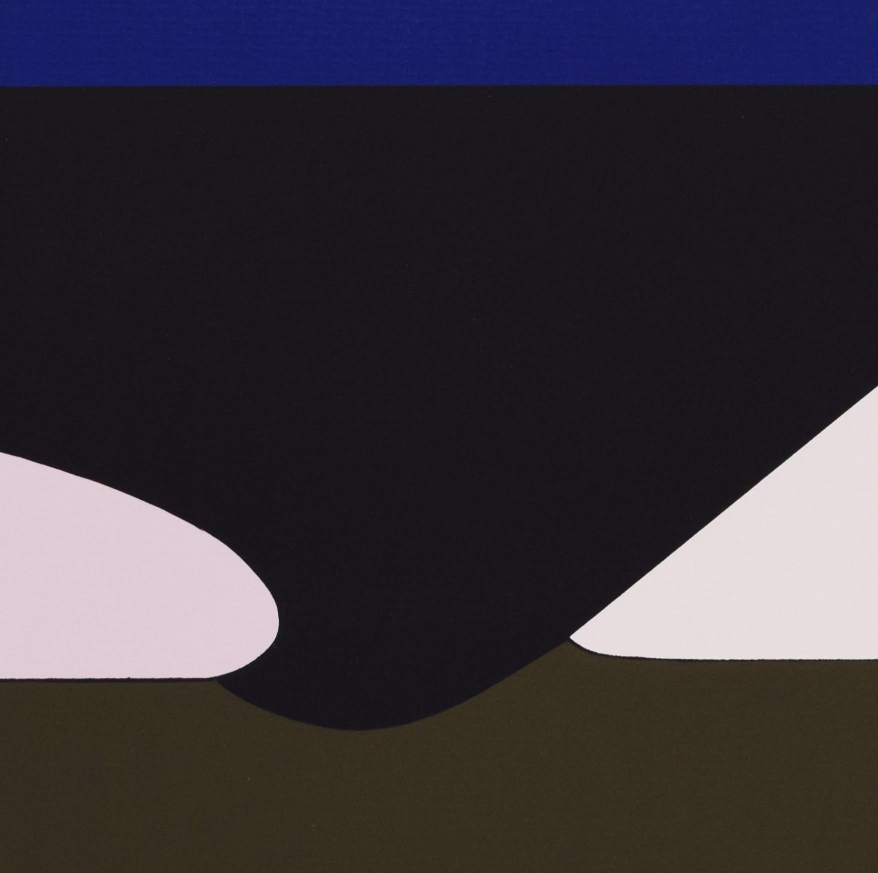 This original screenprint in colours is hand signed in pencil by the artist “Vasarely” in the lower right margin.
It is also hand numbered in pencil from the edition of 138, at the lower left corner. There were also 15 artist's proofs and 7 hors