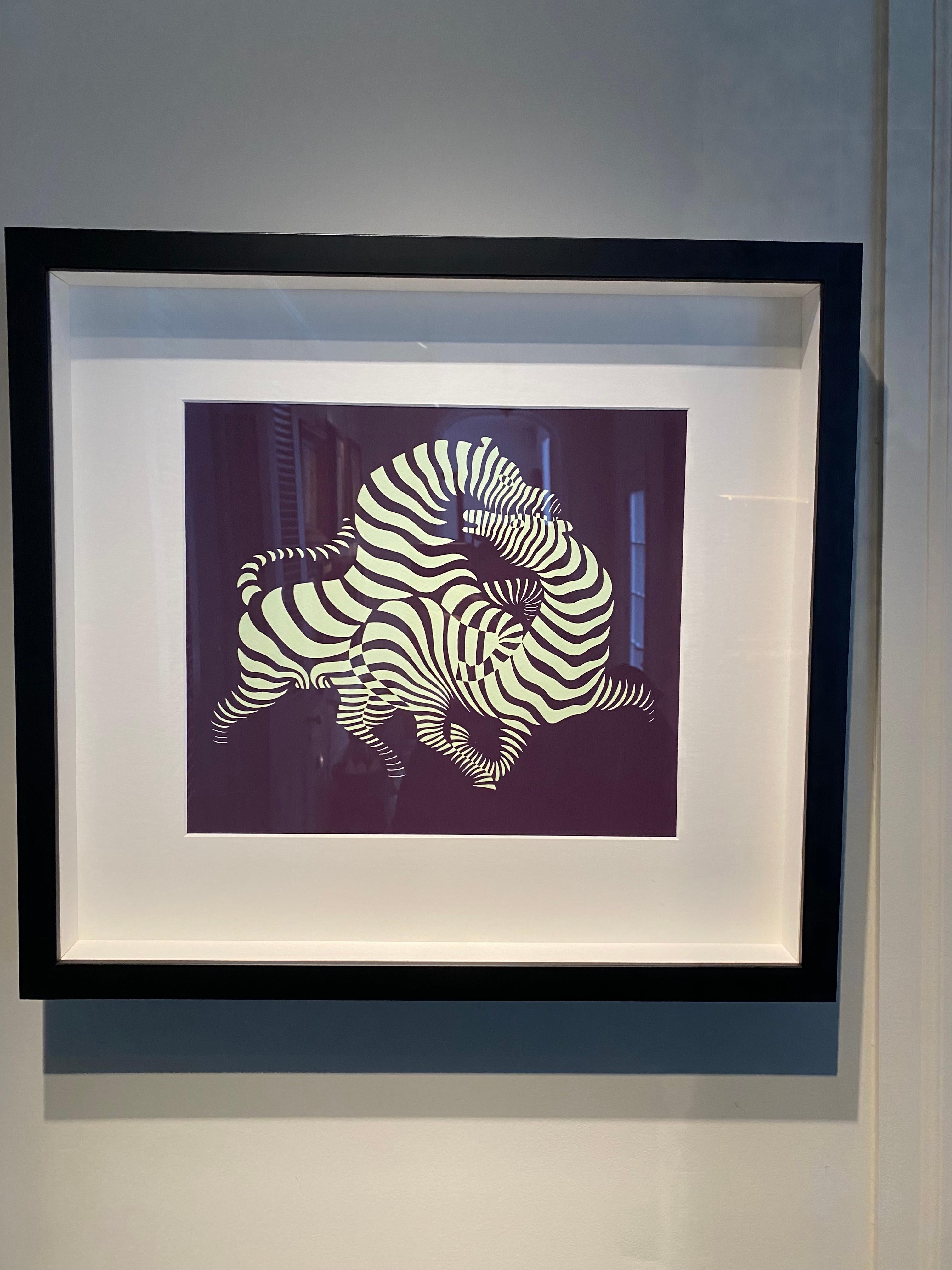 vasarely zebras