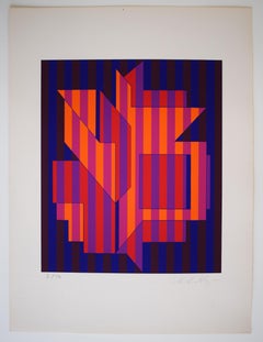 Untitled from: The Skin of Things - Op Art Illusion Hungarian