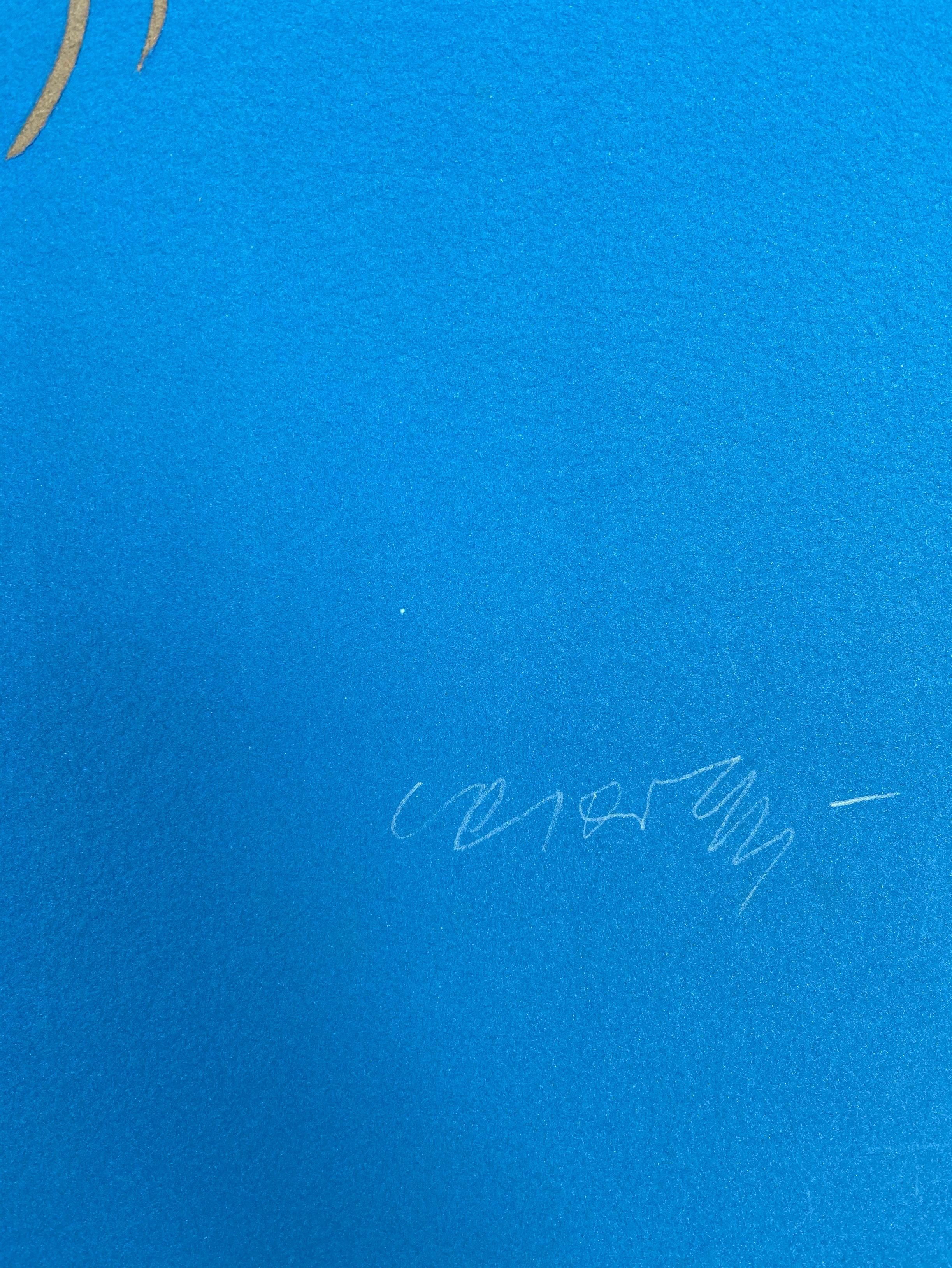 Vasarely - Zebra 
Gravure en relief 
Édition dans Cast Paper 
1989
98x79
1900€