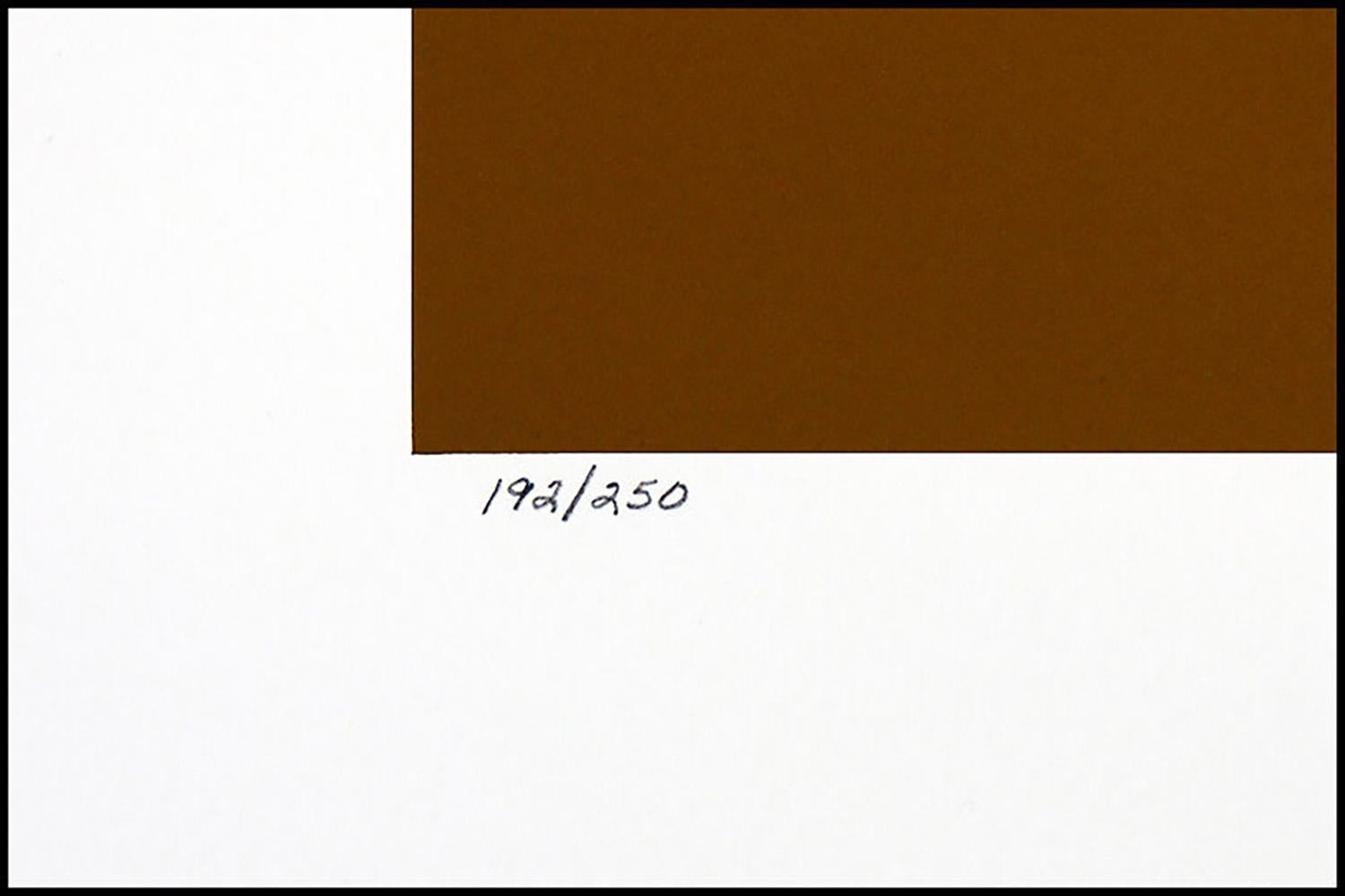 Victor Vasarely Mata Fem Large Original Color Silkscreen Signed Illusion Op Art For Sale 1