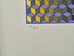 Victor Vasarely -- RIKKA l'album Diam