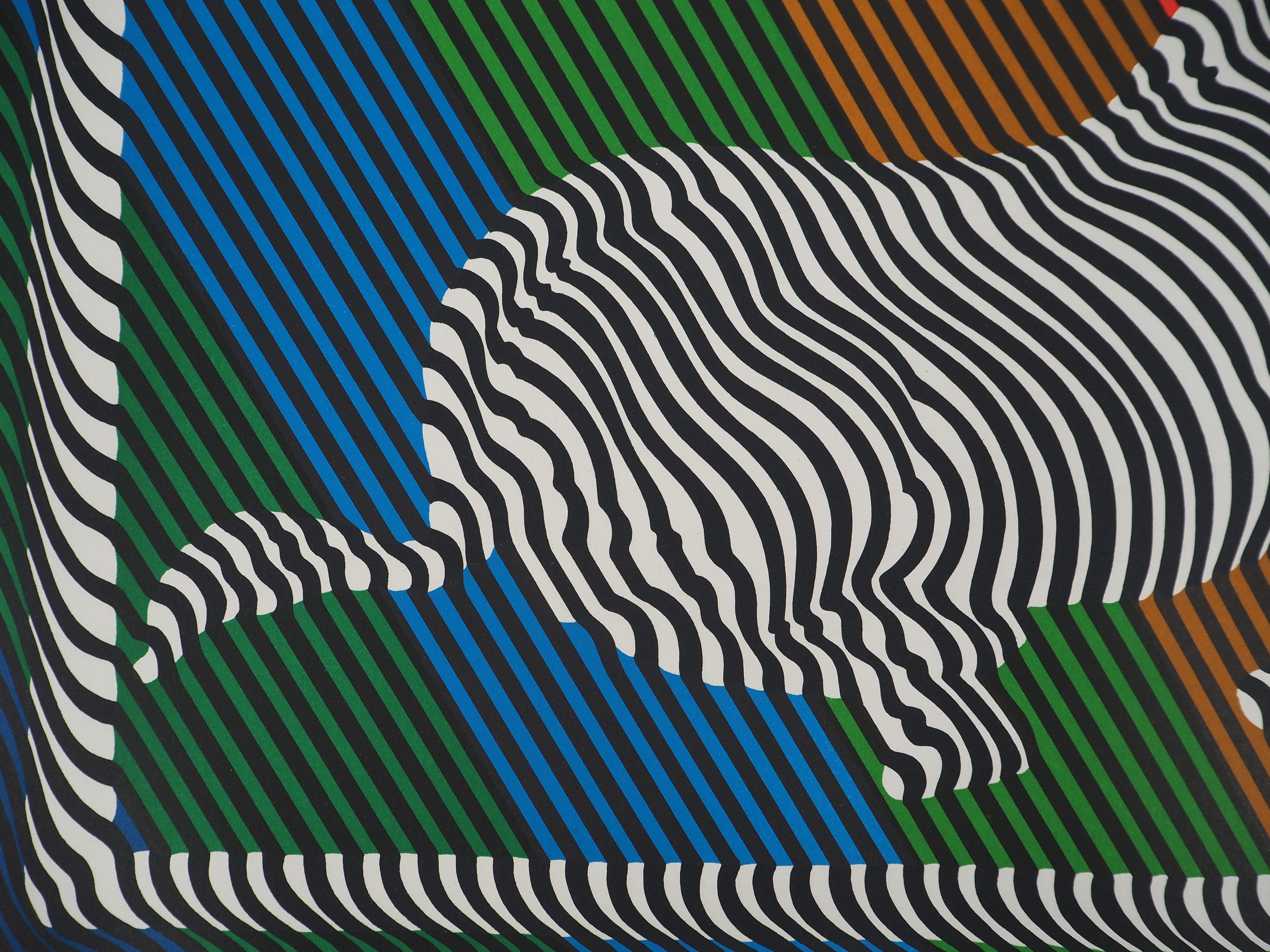 Zebra on a Rainbow (Op Art) - Original Lithograph, HANDSIGNED For Sale 4