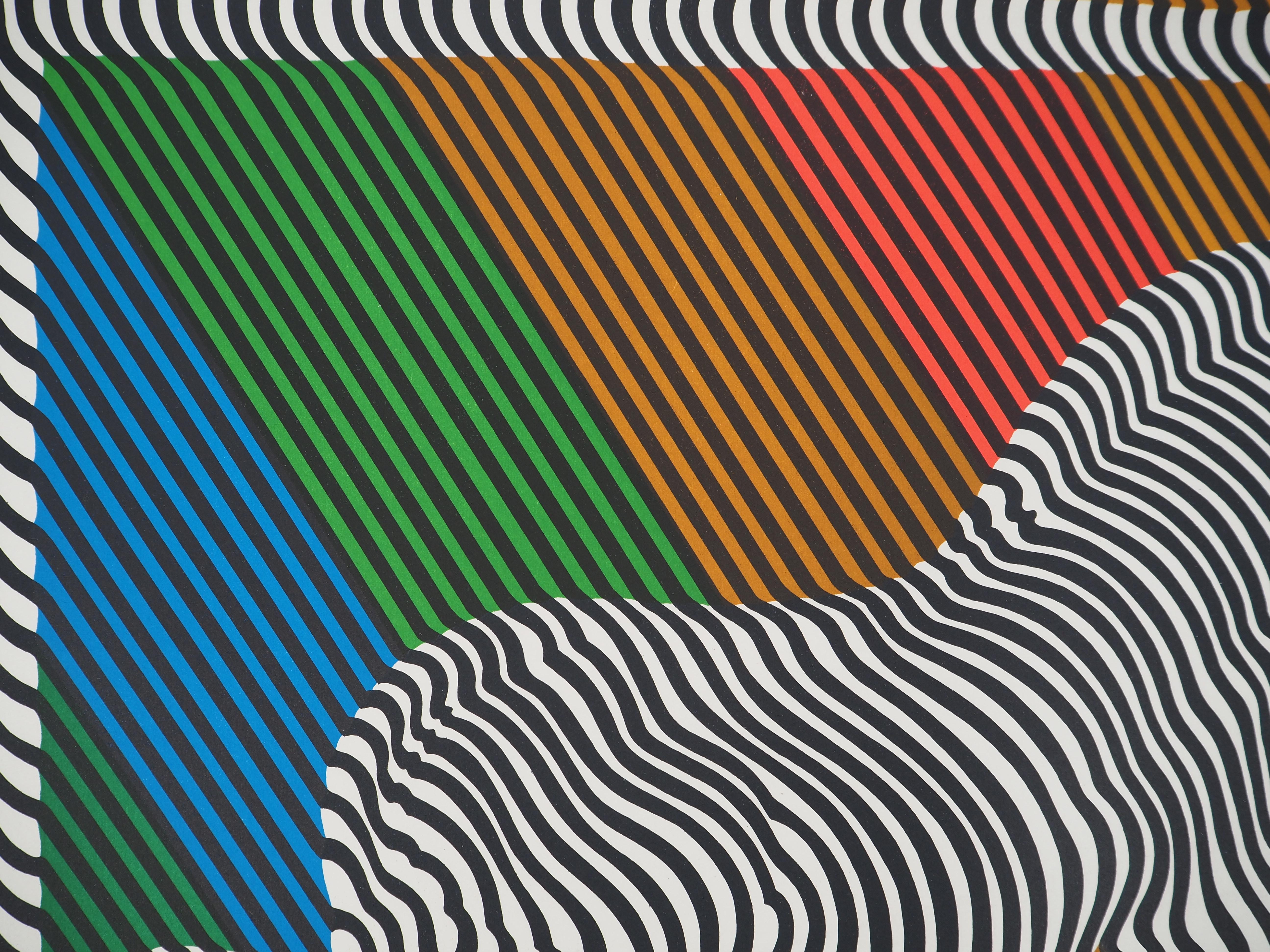 Zebra on a Rainbow (Op Art) - Original Lithograph, HANDSIGNED For Sale 5