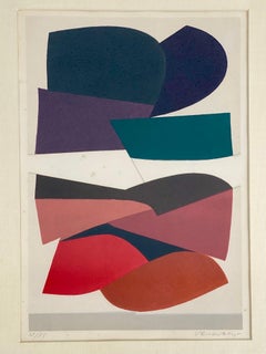 Victor Vasarely Vintage Silkscreen Print 1950s “Sian” Hand Signed 31/75 Rare