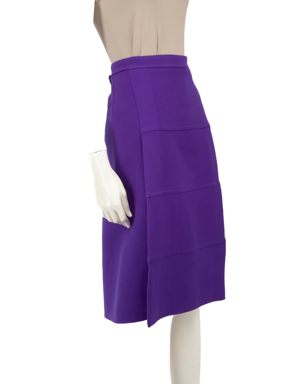 CONDITION is Good. Minor wear to skirt is evident. Light signs of wear with discoloration on the front and slight thread pulling at the front bottom on this used Victoria Beckham designer resale item.

Details


Purple

Wool

Skirt

Midi

A