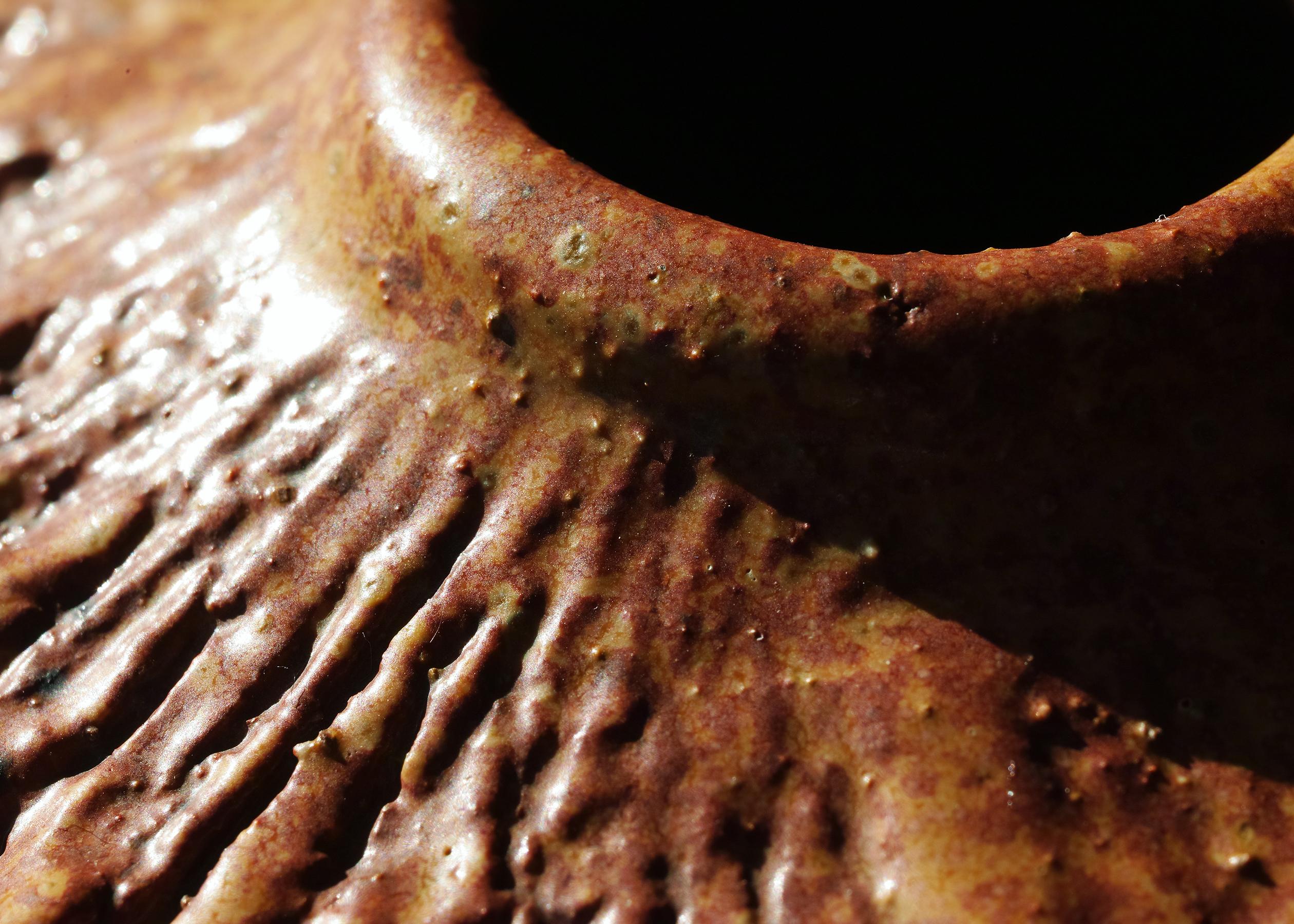 Vase organique Victoria Littlejohn Studio Pottery en vente 2