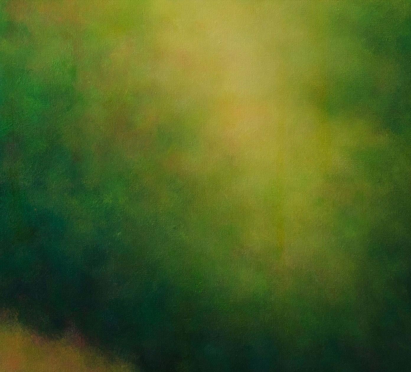 Victoria Veedell captures the essence of nature by examining the effects of light on form in the natural world in her softly glowing landscape paintings. Inspired by her travels throughout Iceland, Shanghai, India, and Japan, as well as local