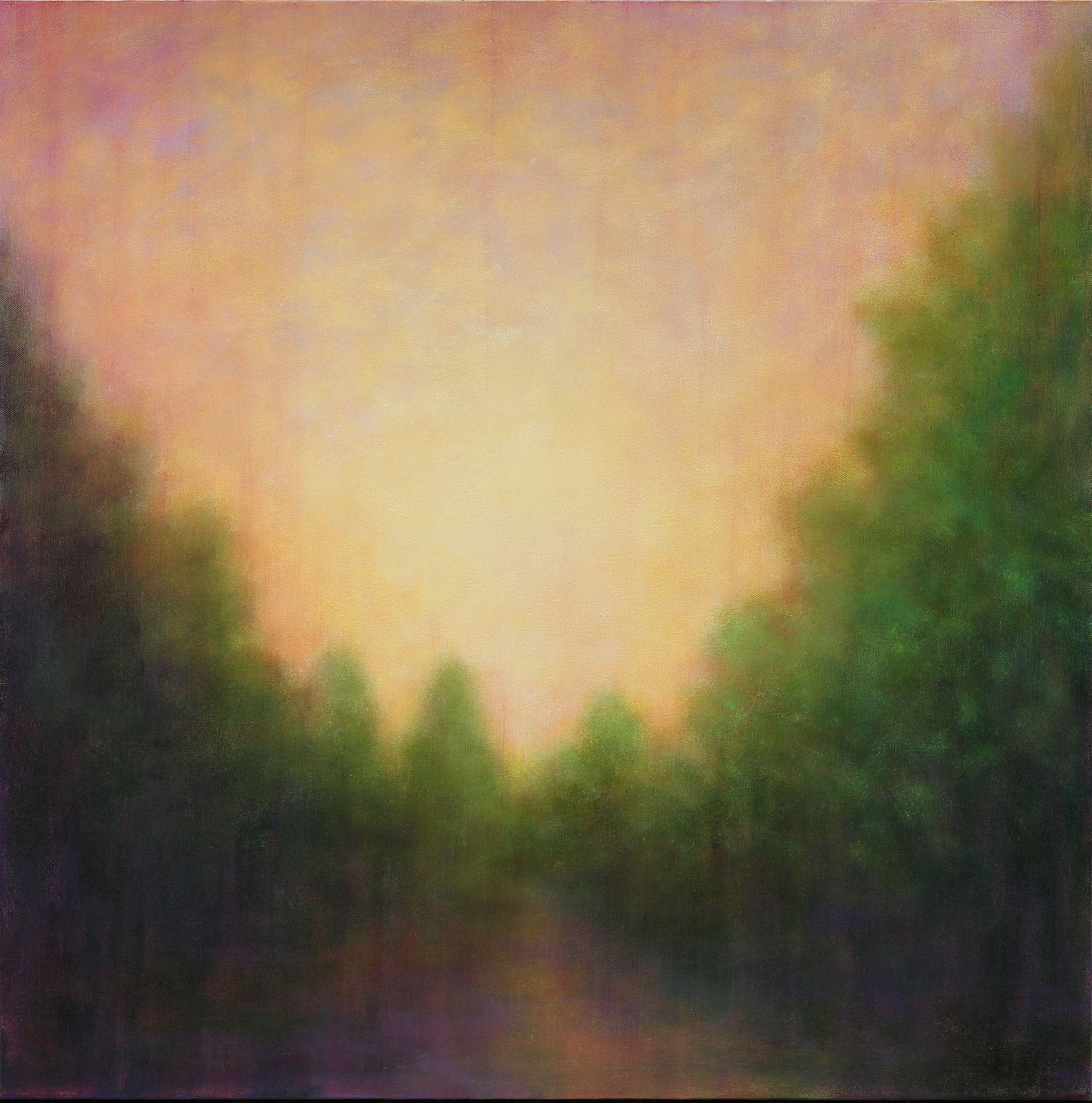 My paintings are like memories, suggesting landscapes not necessarily seen but felt. They are an emotional response to the environment. I want to share the way I see and feel when Iâ€™m out observing in nature. My fascination with the way light