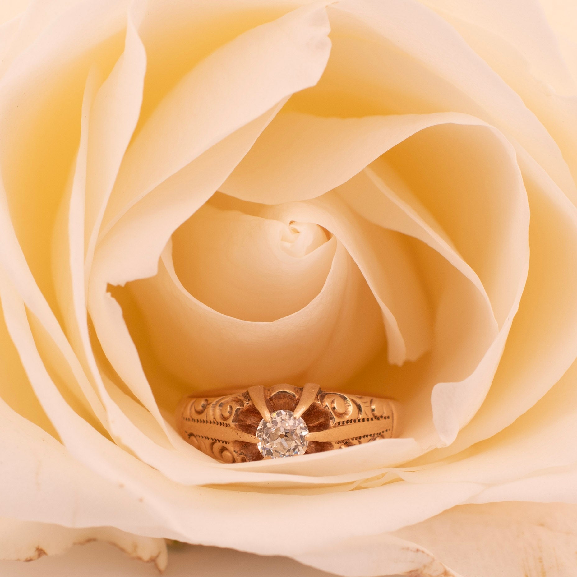 Experience the elegance of the Victorian era with this stunning classic-style ring. Skillfully crafted in 14K yellow gold, the tapered shanks showcase intricate flowing scroll details, lending an artistic flair to the piece. At the heart of it all,