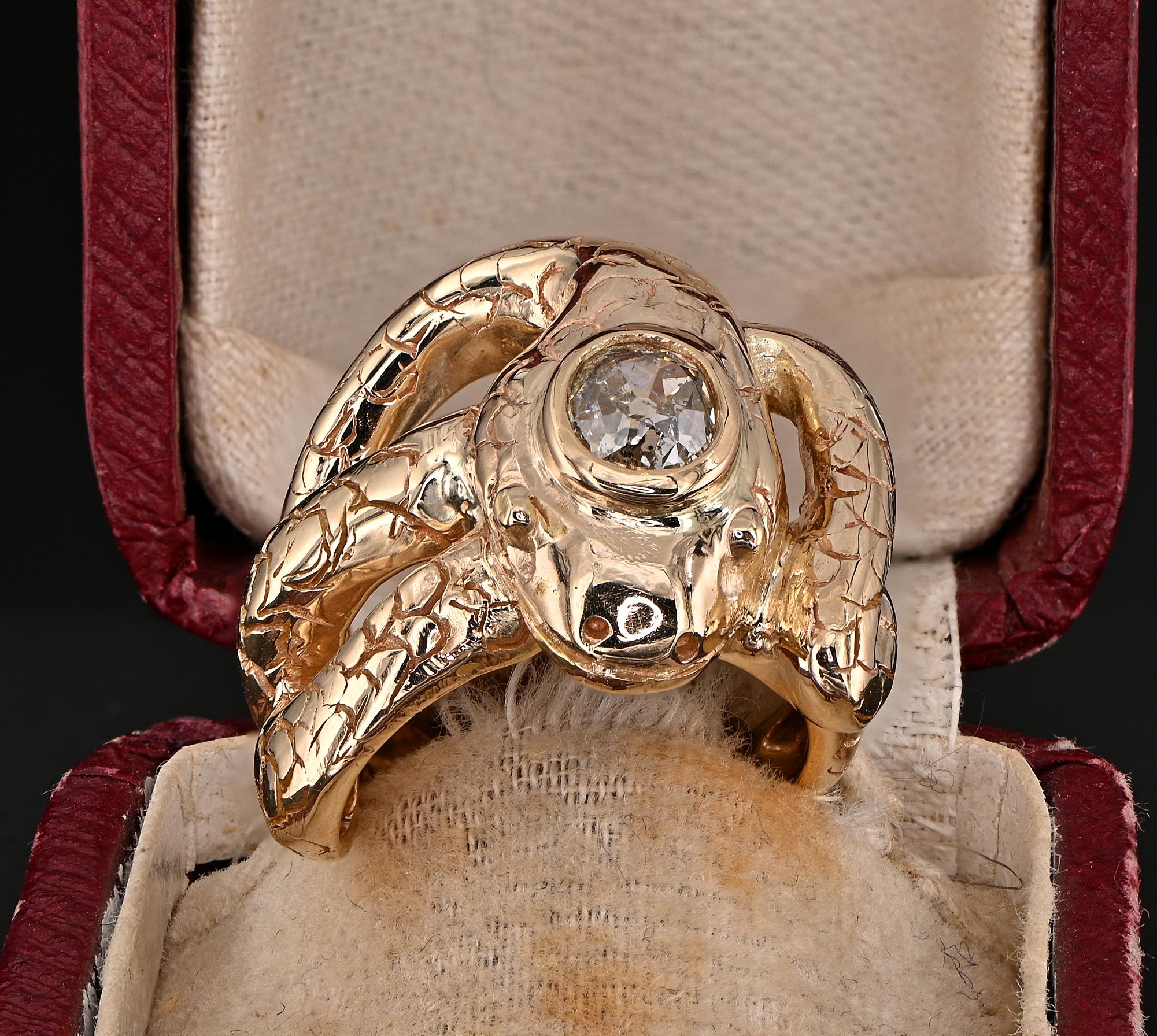 Symbol of Eternity
This impressive Victorian period snake ring is 1900 ca
Hand crafted of solid 14 KT gold, massive and large scale, featuring an intricate coiled snake with large head laid on its coiled body, suitable for either sex special for a